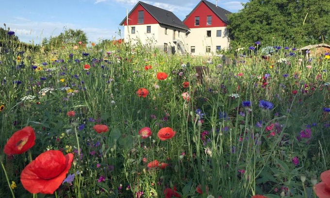 Grunkraut Apartment | Ferienwohnung Bienenhäusle in Grünkraut/Ravensburg