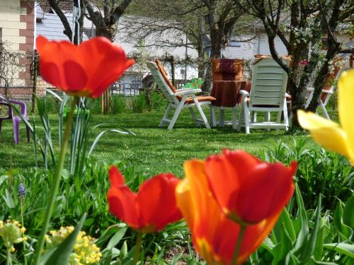 Siesbach Apartment | Ferienwohnung Dasch, bei Idar-Oberstein im Nationalpark Hunsrück-Hochwald