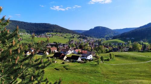 Mitteltal Apartment | Ferienwohnung, Sauna & Gästekarte gratis im Schwarzwald