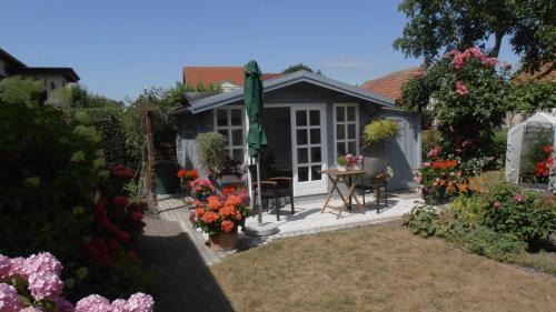 Usedom Apartment | Ferienwohnungen Sasse