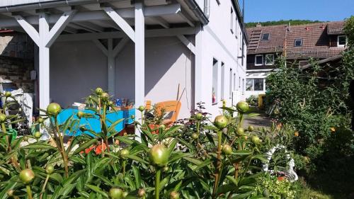 Hasserode Apartment | FerienwohnungReinel