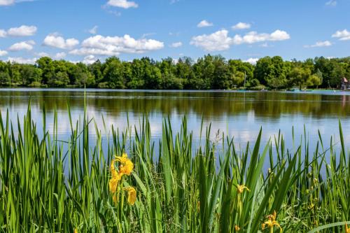 Bad Waldsee Apartment | Fewo am Stadtsee - Bad Waldsee