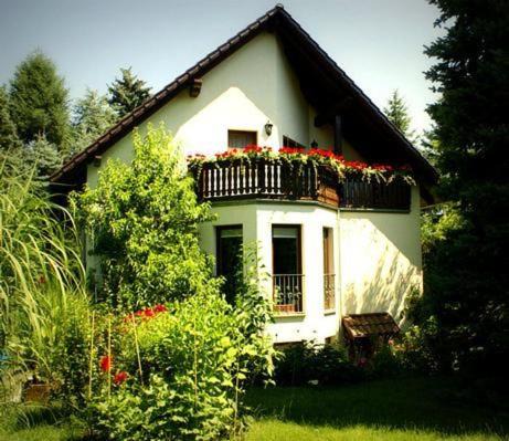 Leubnitz-Neuostra Apartment | Fewo Ginkgo