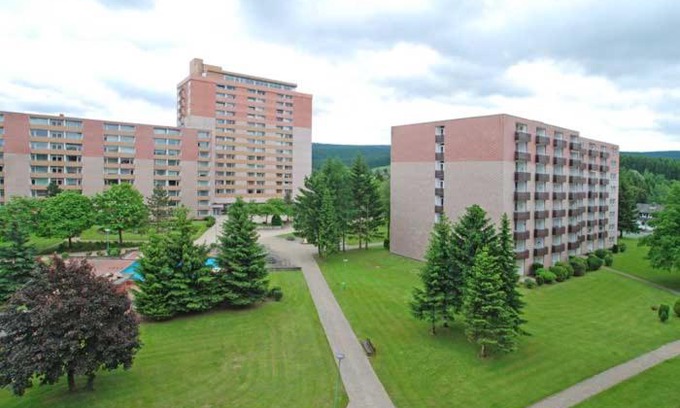 Altenau Apartment | FeWo Regenbogen. Jeden Tag bunt starten!