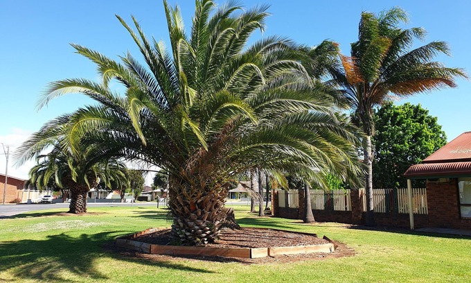 Finley Hotel | Finley Palm Motor Inn