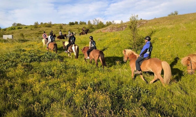 Egilsstadir Cottage | Finnsstaðir