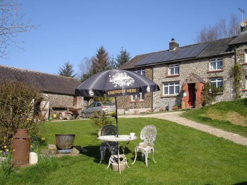 Llanwrda Bed & Breakfast | Five Saints Farmhouse B&B