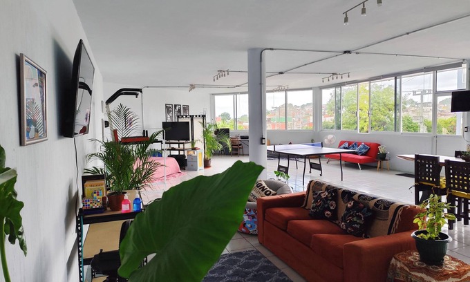 Xalapa Apartment | Flat Apartment in Downtown Xalapa Veracruz