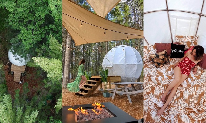 Winfield House | Floating Treehouse Cocoon - The Firefly