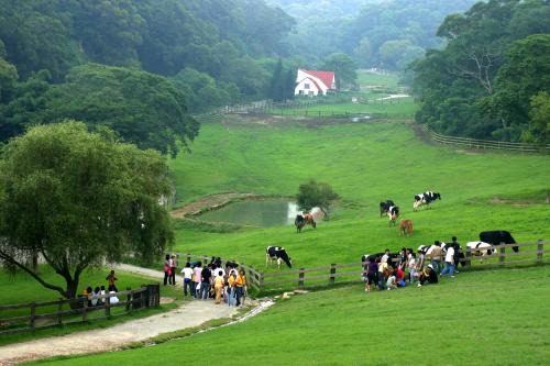 Tongxiao Hotel | Flying Cow Ranch
