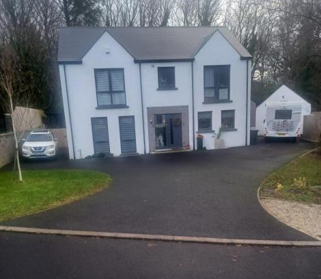 Coleraine House | Forest house