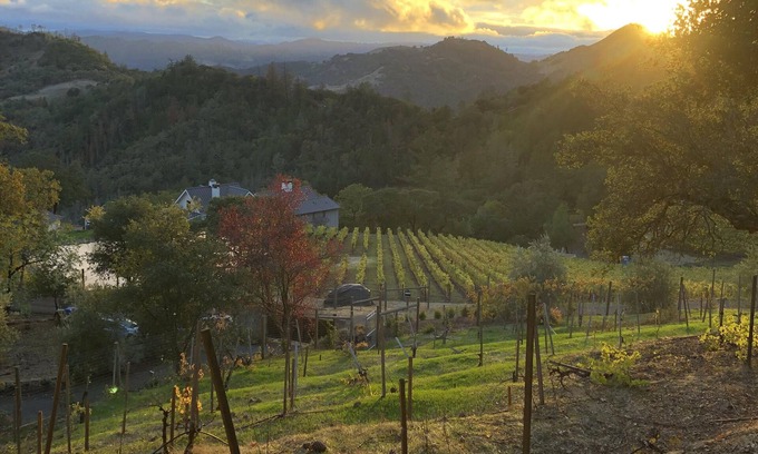 Napa County House | Formerly the Old Toll Road Inn - 4 Beds/4.5 Baths