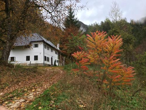 Molln House | Forsthaus Gut Traunfried