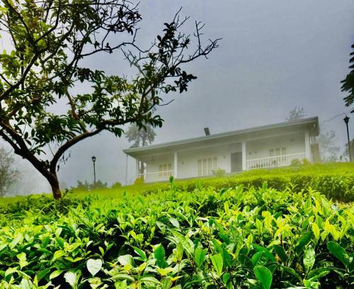 Pirmed House | Four Winds Plantation Homestay Approved by Dept of Tourism Govt of Kerala