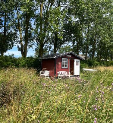 Frolunde Other | Frølundegaard B&B