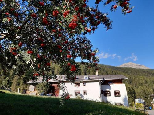Fuldera Apartment | Fuldera Daint chasa Zanoli Whg im zweiten Stock
