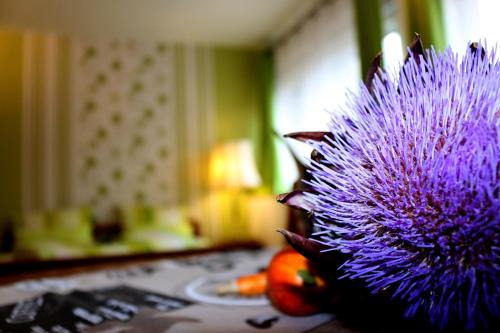 Sud Apartment | Gästewohnung Mönchengladbach