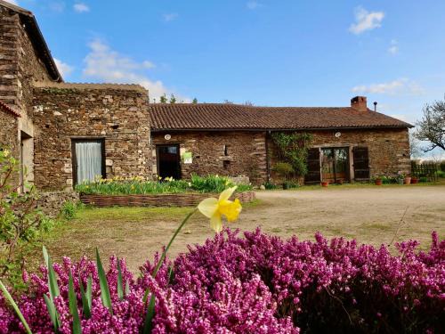 La Tardiere House | Gîte écoresponsable avec 4 chambres, terrasse et activités, proche LPO, chauffage au sol - FR-1-426-486
