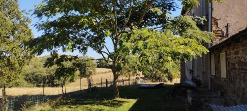 Naucelle House | Gîte L'Esprit Nature