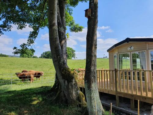 Corwen House | Gaerhyfryd Static Caravan & family friendly site