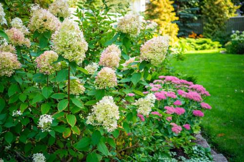 Kesklinn Other | Garden Camping