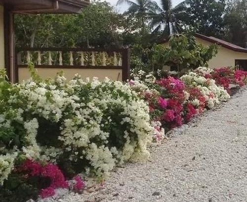 Santander House | Garden INN