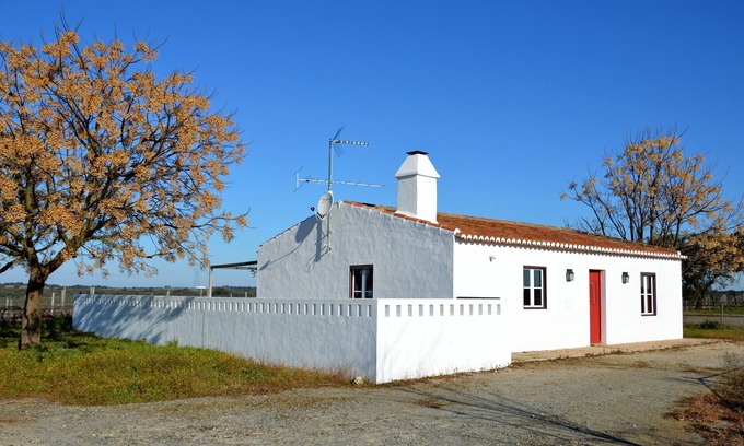 Alter do Chao House | Gardian's house surrounded by vineyards and oak and olive trees