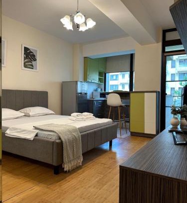 Copou Apartment | Garsoniera in Copou lângă Parhon IRO