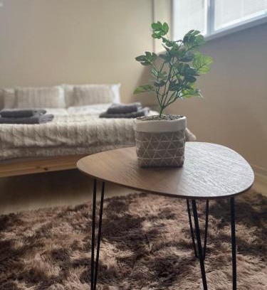 Sahy Apartment | Garzon/Studio apartment