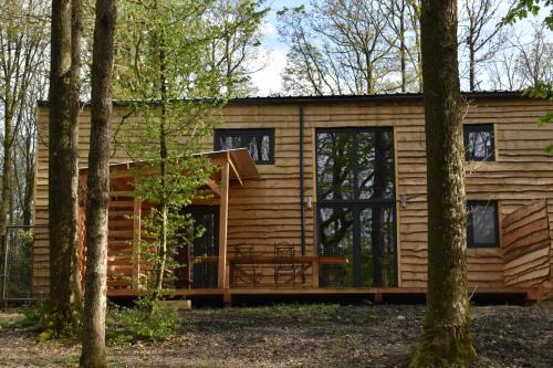 Philippeville Ski Chalet | Gite cocon dans la forêt