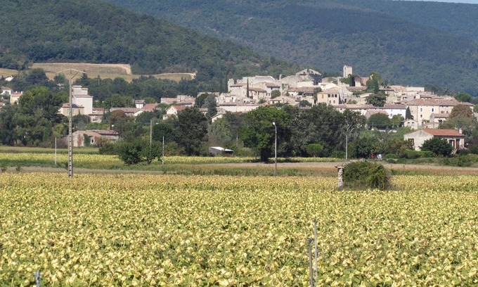Sauzet House | Gite in Provence