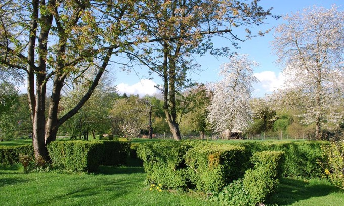 Le Plessis-Luzarches Apartment | Gites aux Fleurs de Cerises