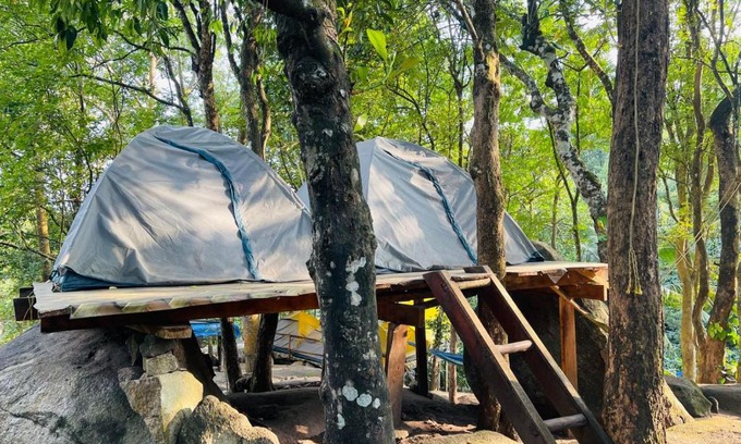 Muttil South Other | gladstone natural Camping