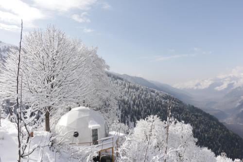 Manali Other | GlampEco Manali