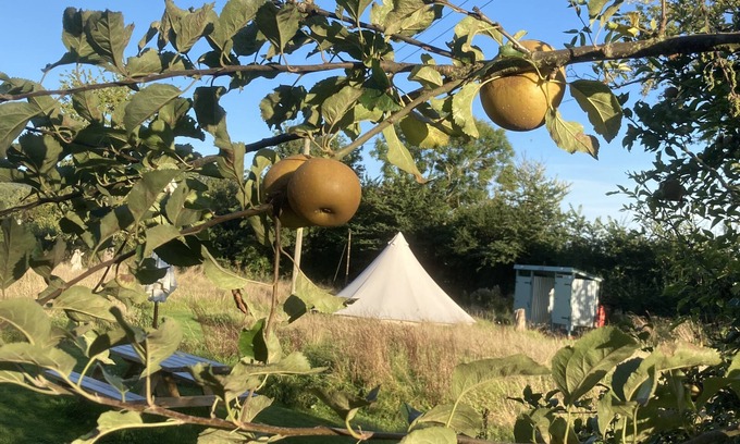 Westbrook Court Cabin | Glamping at The Homestead - Ensuite bell tent