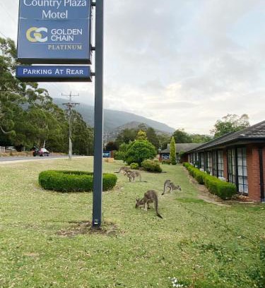 Halls Gap Hotel | Golden Chain Country Plaza Motel Halls Gap