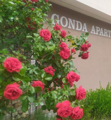 Hradec Kralove Apartment | Gonda Apartments