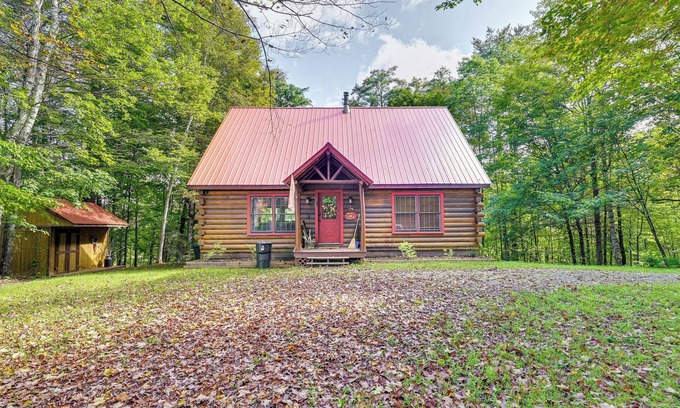 North Creek Cabin | Gore Mountain Cabin: Game Room & Fire Pit