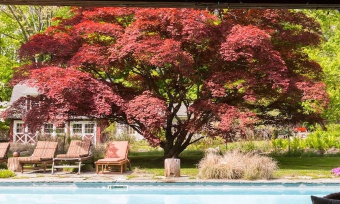 Garrison House | Gorgeous Garrison Gem Pool Sauna Hot Tub More