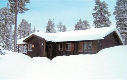 Fjatervalen House | Gorgeous Home In Särna With Kitchen