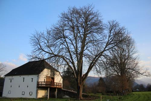 Alos-Sibas-Abense House | Grange KANDERATZEA