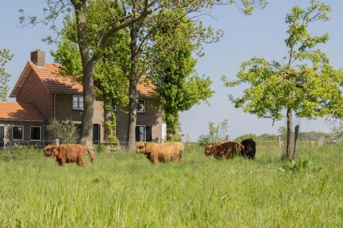 Keent House | Grazelands - overnachten midden in de natuur