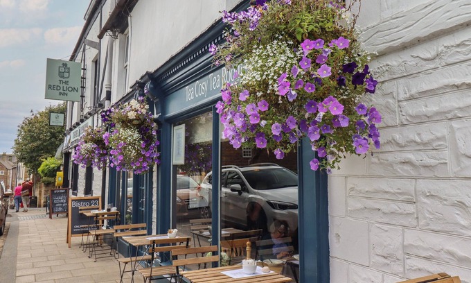 Alnmouth Cottage | Grebe Cottage