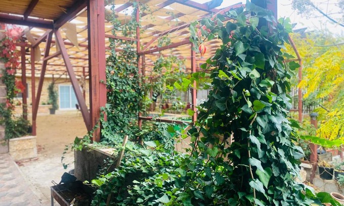 Jordan Cabin | Green houseجوهره الشمال
