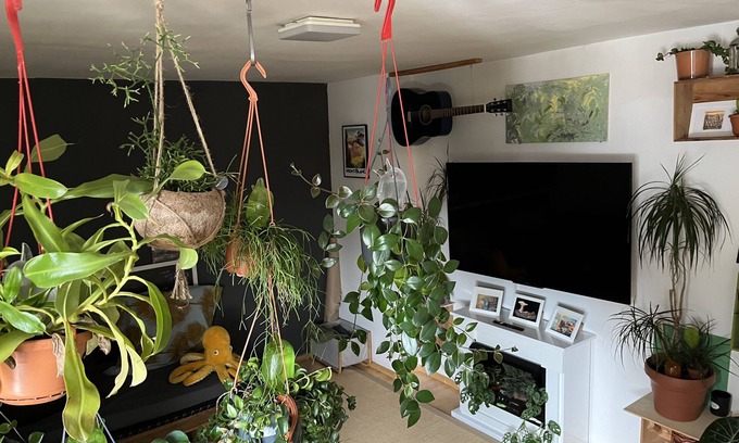 Dreimuhlen Apartment | Green oasis in the heart of Munich.