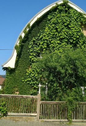 Prague 12 Apartment | Green Point - 25 min to the center by tram