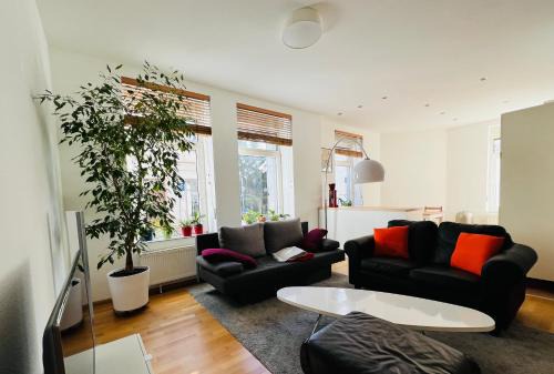 Bad Homburg v.d. Hoehe Apartment | Großes und helles Innenstadt Apartment - Ferienwohnung