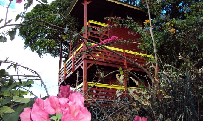 Pointe-Noire House | Guadeloupe-Paradisio, Pitaya