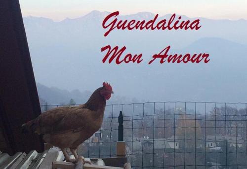 Roncola Apartment | Guendalina Mon Amour