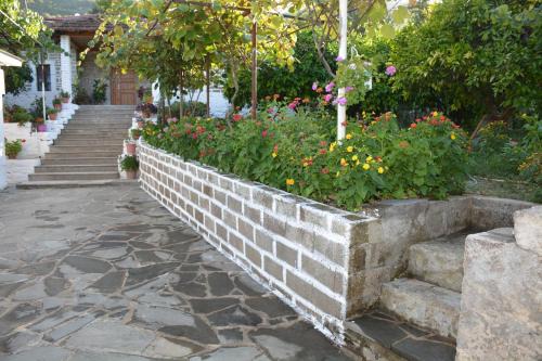 Albania House | Guest House Marsi